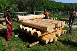  Blockhausbau Profiseminar bei Konrad Gallei Haunetal-Odensachsen 