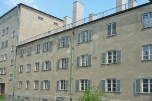  Birkenhof vor der Sanierung 