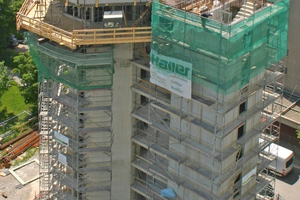  Turm mit abgebrochenem Kopf Foto: Rütgers Organics 