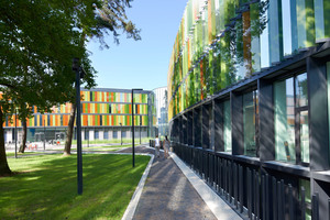  Geschosshohe Glaslamellen, farblich inspiriert vom umgebenden Kiefernwald, fungieren als Sonnenschutz und prägen die Außenansicht der Gebäude am neuen DZNE Standort in Bonn 