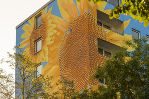  Der Innere der Sonnenblumen ist nach der Fibonacci-Reihe aufgebaut: Jede Sonnenblume hat in diesem Bereich 34 linksdrehende Spiralen und 55 rechtsdrehende Spiralarme 