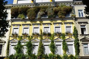  BuGG-Fassadenbegrünung des Jahres 2020: Wohnhaus Hannovergasse in Wien  
