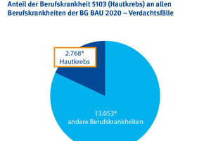  Mit mehr als 2700 neuen Fällen im Jahr 2020 entfielen rund 18 Prozent aller Meldungen auf dieses Krankheitsbild 