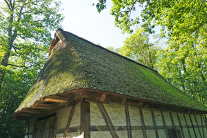  Die Häuser des Osnabrücker Hofs sind reetgedeckt  