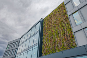  Das neue Bürogebäude von Drees & Sommer ist in Stuttgart fertiggestellt und besitzt eine grüne Fassade.  