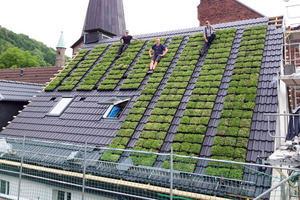  Das neue Aufdachpflanzsystem mygreentop für die Begrünung schräger Dächer wird auf der Dach+Holz vorgestellt 