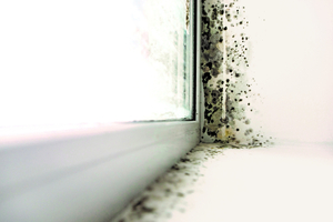  Geometrische Wärmebrücken par excellence sind Fensternischen. Die kühle Oberfläche und die damit einhergehende Schimmelbildung sind jedem bekannt 