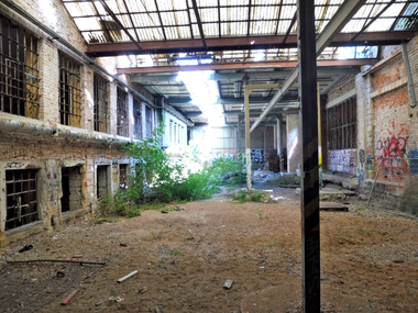 Die Werkhalle, oder das, was von ihr ?brig war, vor der Sanierung: eine bewachsene Industrieruine