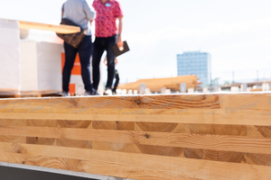  Wesentliche Teile des Ziegler-Geschäftsbereichs Holzverarbeitung wurden an einen Investor verkauft. 