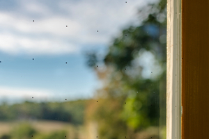  Jede Scheibe ist ein Unikat: Die Mikroabstandhalter in dem nur 0,1 mm großen Vakuumspalt sind kaum bis gar nicht sichtbar 