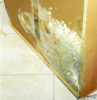 Vorder- und Rückseite von ein und demselben Schrank, der an einer nicht gedämmten Außenwand stand