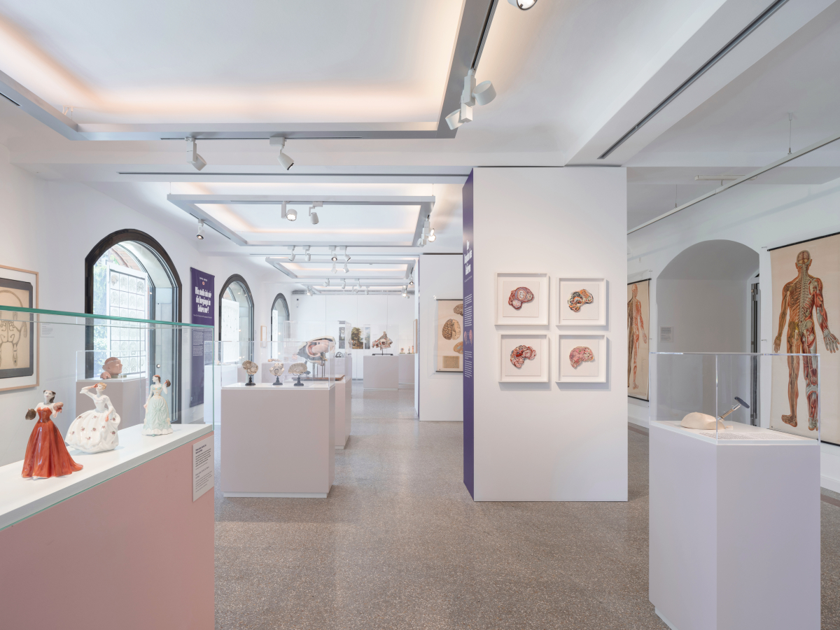 Wechselausstellung im ersten Obergeschoss mit Schauvitrinen (links im Bild)