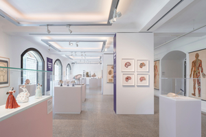  Wechselausstellung im ersten Obergeschoss mit Schauvitrinen (links im Bild) 