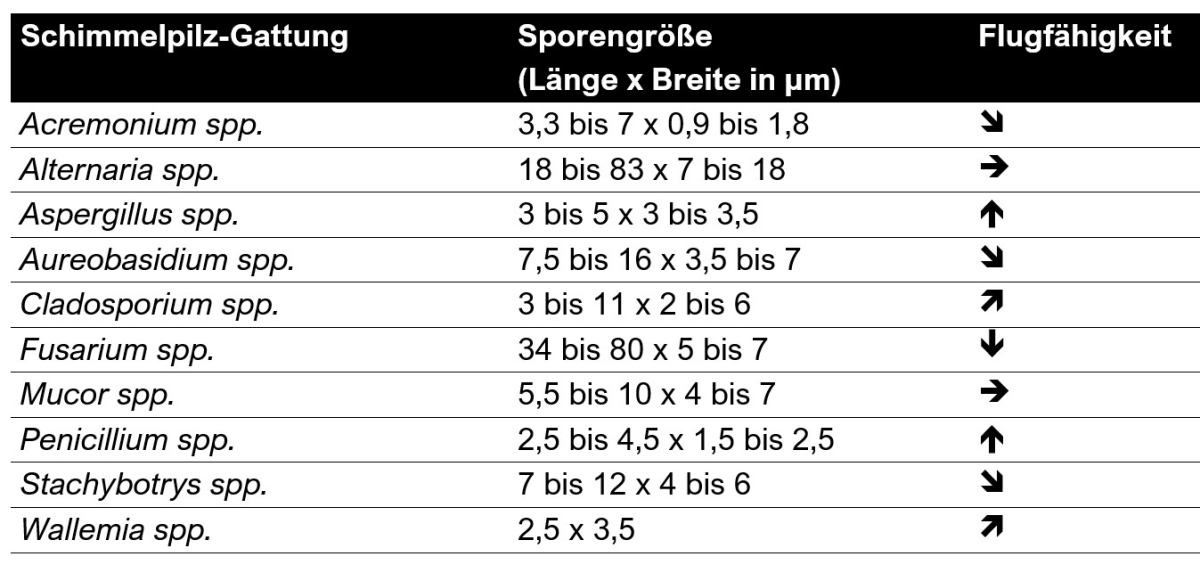 Tabelle 2: Sporengröße und deren Flugfähigkeit am Beispiel einiger Schimmelpilze