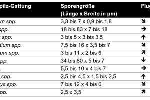  Tabelle 2: Sporengröße und deren Flugfähigkeit am Beispiel einiger Schimmelpilze 