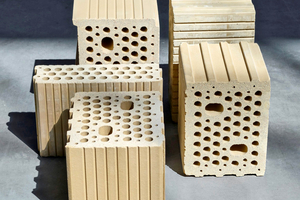  Stranggepresste Lehmsteine 10DF 