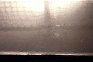   Die V21-Paneele brauchen keine separate Stützstruktur und können in nahezu beliebigen Größen gefertigt werden  