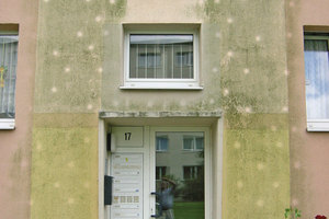  Bei diesem Algen- und Pilzbefall zeichnen sich Kondensationsprobleme bei den Dübeln besonders deutlich ab   