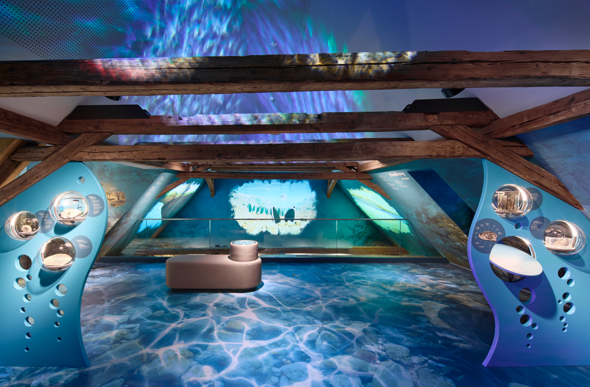 In der obersten Ausstellungsetage taucht man in die Unterwasserwelt der Perlmuschel ein