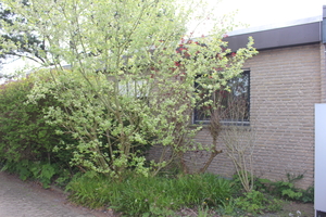  Der Bungalow wurde 1974 erbaut und stand zwei Jahre leer. Der Modernisierungs-Stau ist groß 