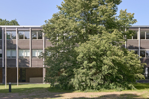 Der Zwischenbau des Land- und Amtsgerichts Lübeck schafft eine Verbindung zwischen dem langgestreckten Saalbau links und dem Bürobau rechts 