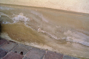  Hohe Salzbelastung mit deutlich sichtbarem Durchschlagen der Salze bis zur Oberfläche  