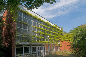  Die zum Teil bewachsene Betonrasterfassade der Turnhalle vor Beginn der Sanierungs- und Umbauarbeiten Fotos (3): Mosaik Architekten 