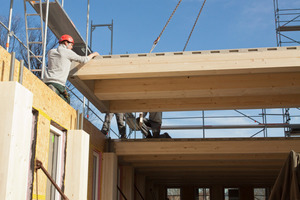  Unten: Ein Trupp von vier Zimmerleuten errichtete den kompletten Holzbau in wenigern Tagen Fotos (3): Angela Lamprecht 