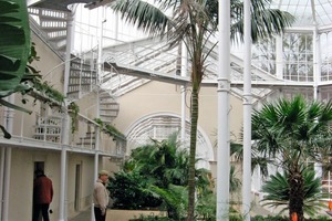  Das Mitte des 19. Jahrhunderts im Park von Schloss Pillnitz erbaute Palmenhaus kann nach umfangreicher Sanierung seit Ende März wieder besichtigt werden 