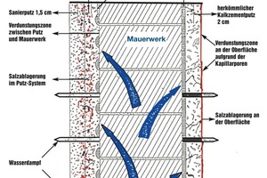  Schematische Darstellung des Wirkprinzips von Sanierputzen 