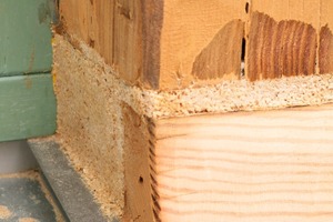 Das Holz muss vor der Bearbeitung angeschliffen werden. Danach wird die PU-Masse mit Sägespänen versetzt und aufgetragen 