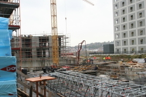  Zahlreiche Kräne sind auf der Baustelle in ständigem Einsatz 