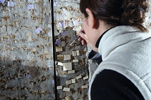  Insbesondere die Sicherung der freigelegten gotischen Holzwand in der Bohlenstube verlangte von der Restauratorin viel Fingerspitzengefühl 