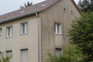  Dübeabzeichnungen auf einer WDVS-Fassade mit dichtem Bewuchs in unmittelbarer Nähe 