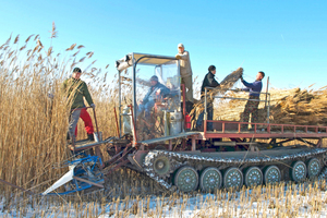  Zur Schilfernte wird im ungarischen Pirto ein umgebauter Panzer eingesetztFotos: Maximilian Breitenbach / Claytec 